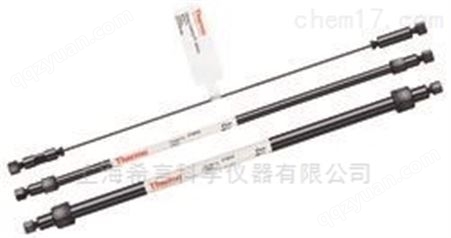 062885Thermo Dionex IonPac AS19 IC 柱